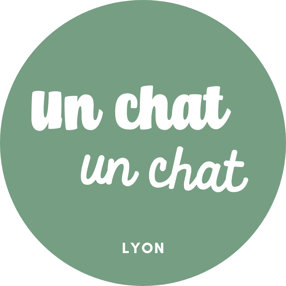 Un chat un chat | Lyon