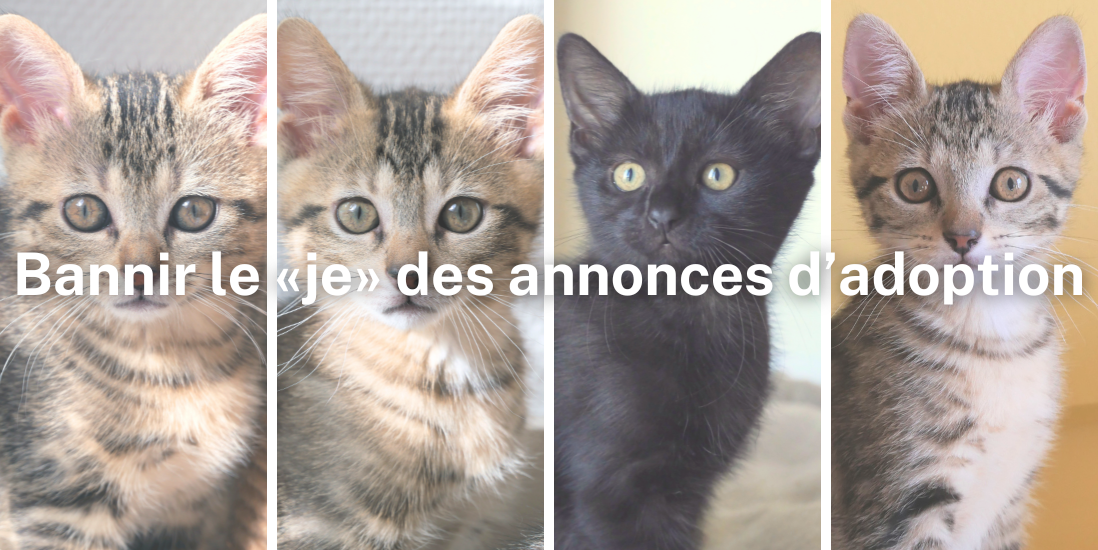Bannir le « je » des annonces d’adoption