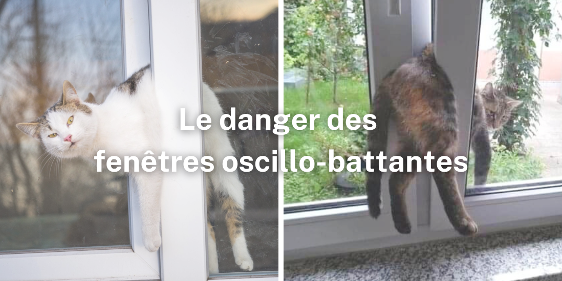 Le danger des fenêtres oscillo-battantes