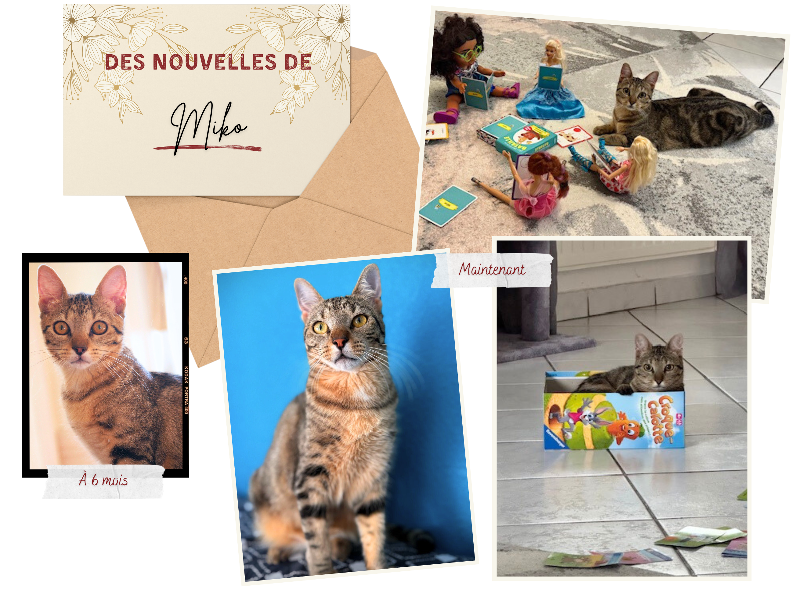 Des nouvelles de Miko