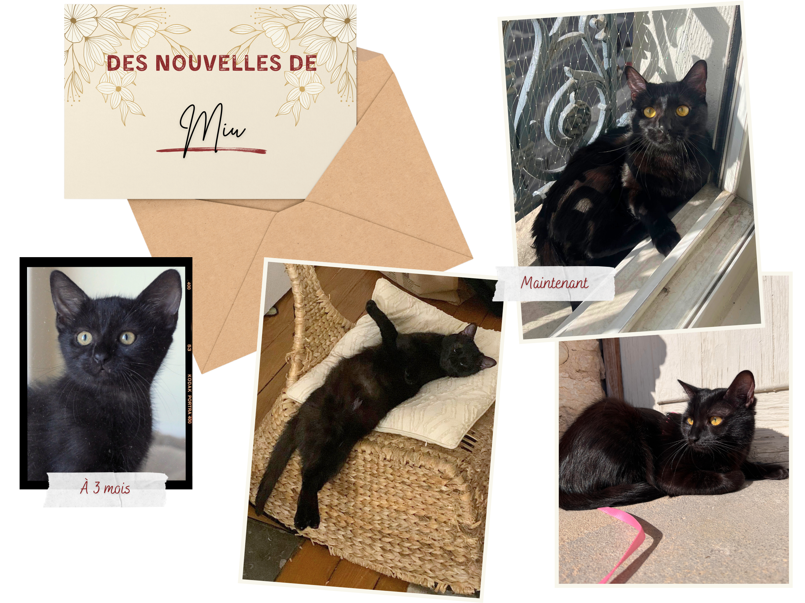 Des nouvelles de Miu