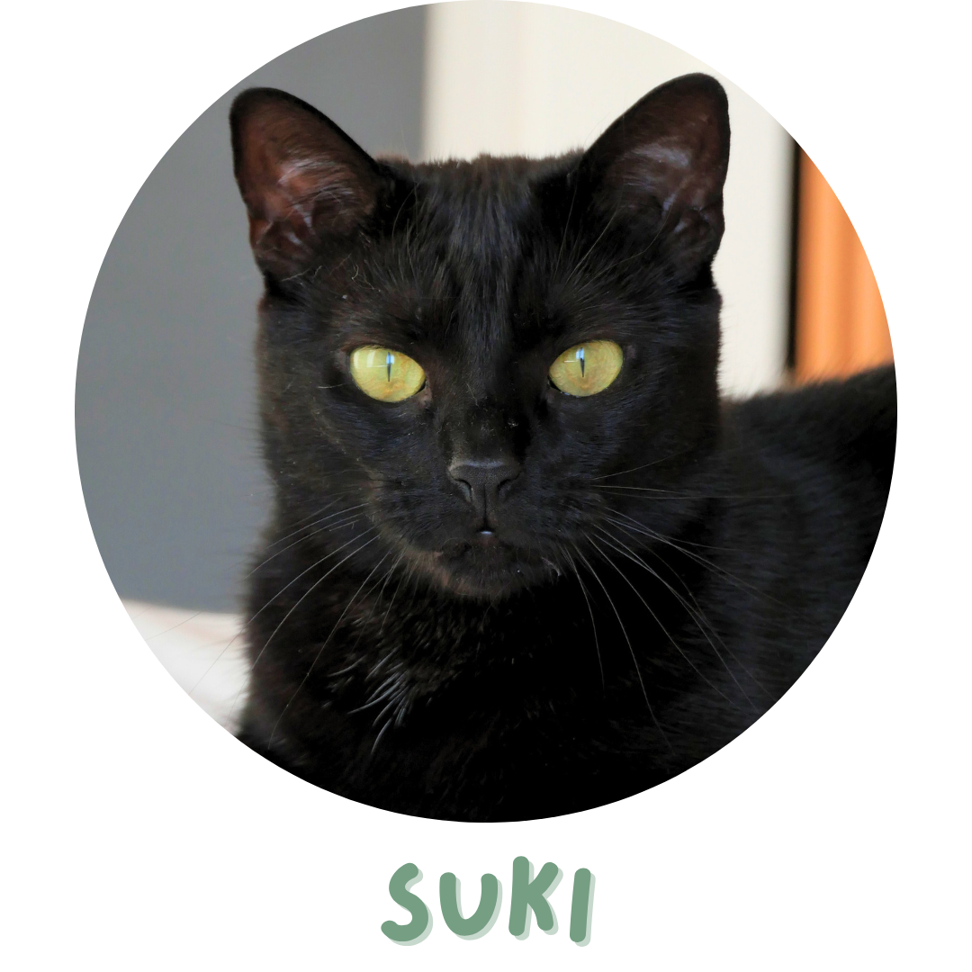 Suki